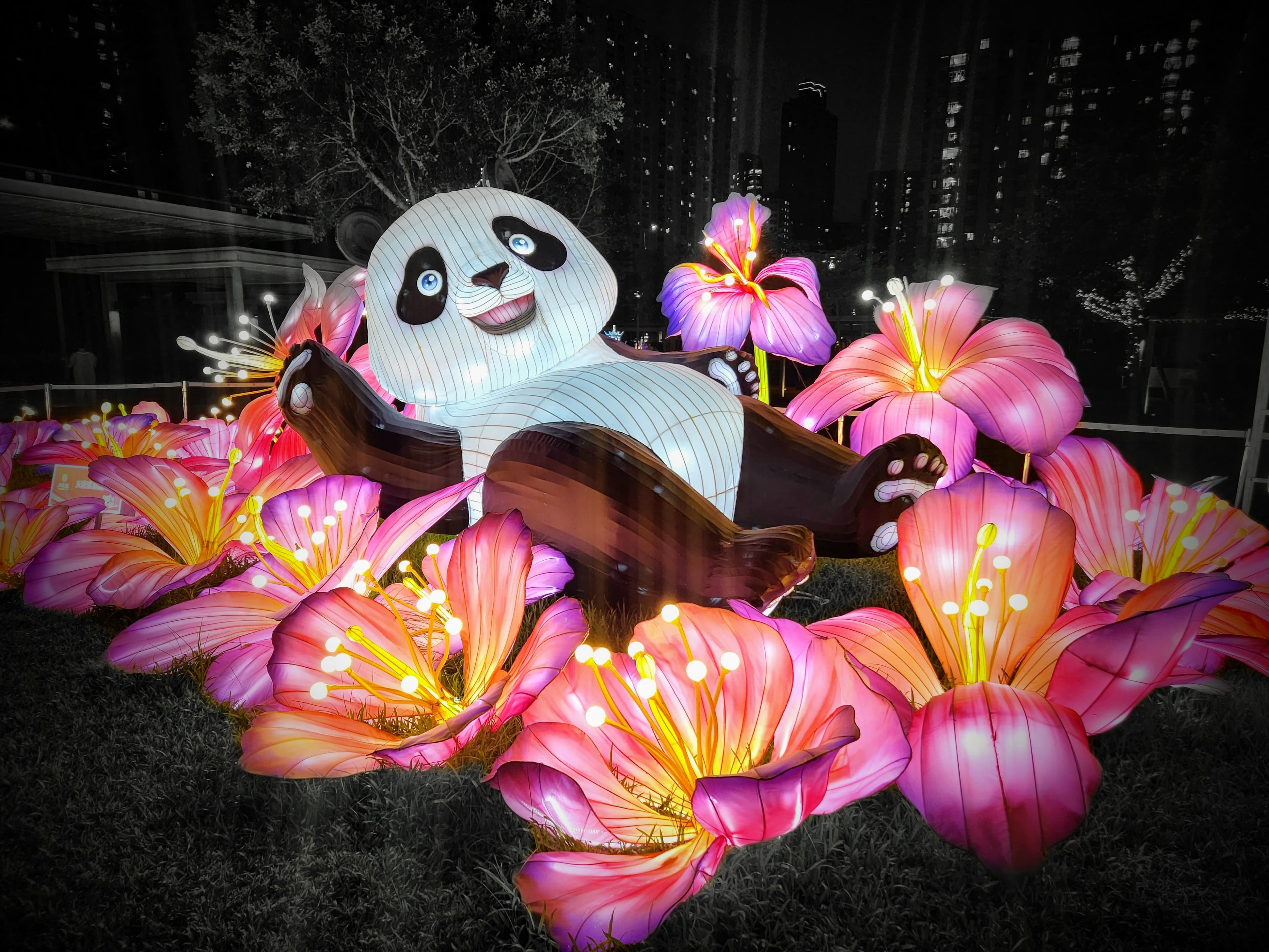 Starting a Blog in 2024 – Why Would I Do That?